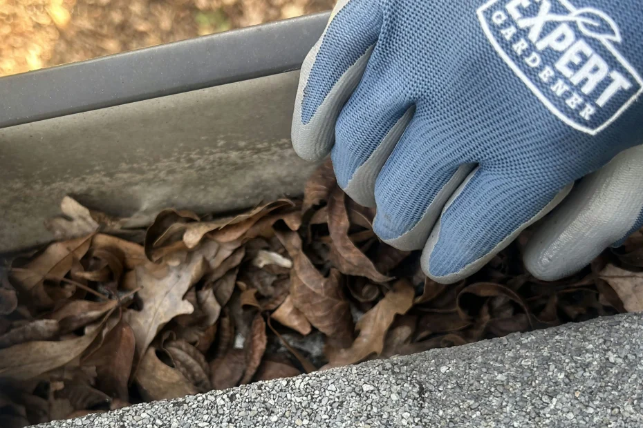 Gutter Cleaning Clermont FL