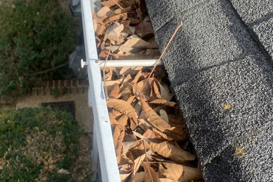 Gutter Cleaning Clermont FL