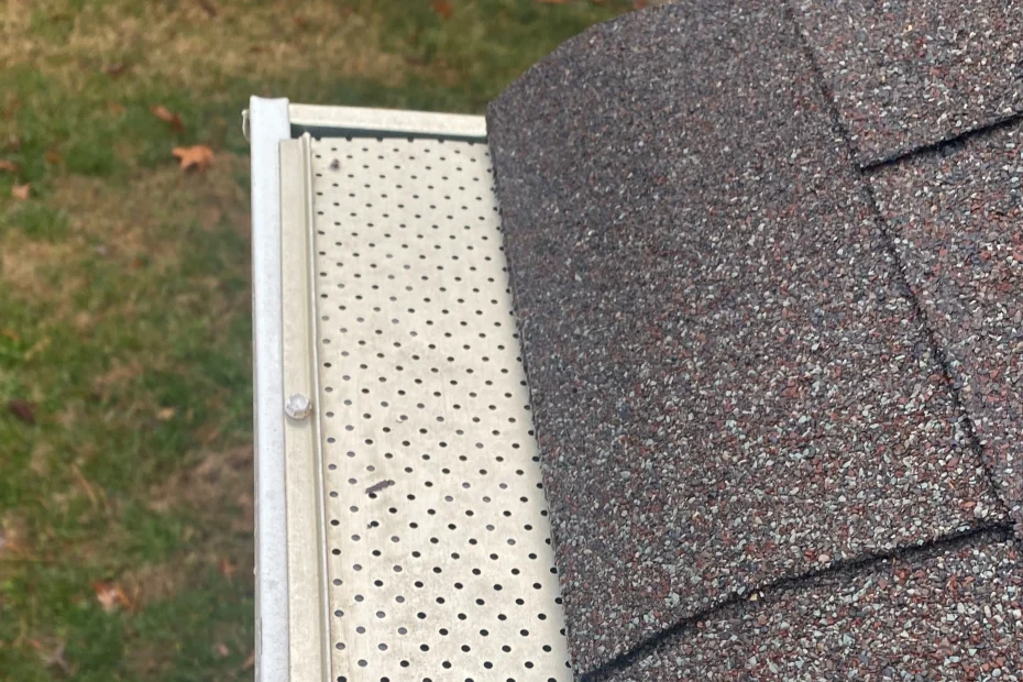 Gutter Cleaning Clermont FL