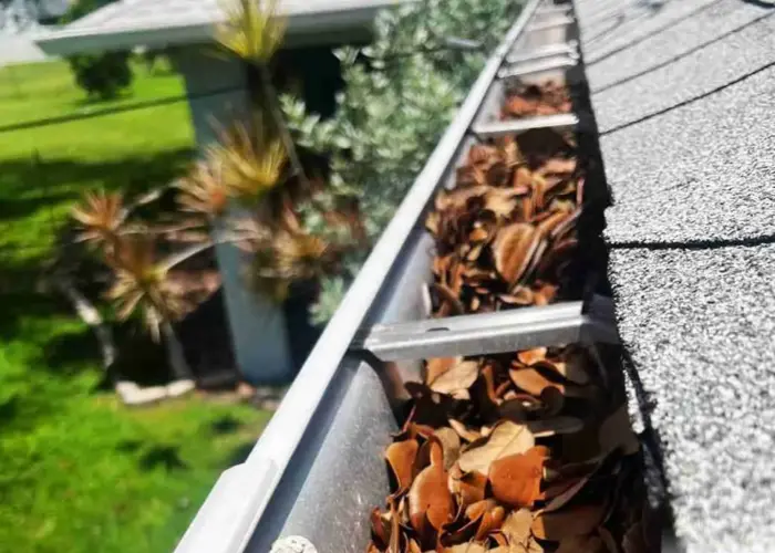 Gutter Cleaning Clermont FL home page